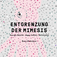 Entgrenzung Der Mimesis Kulturverlag Kadmos Berlin